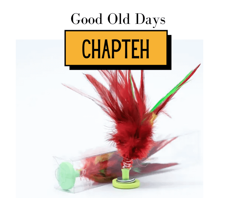 Good Old Days: All About Chapteh