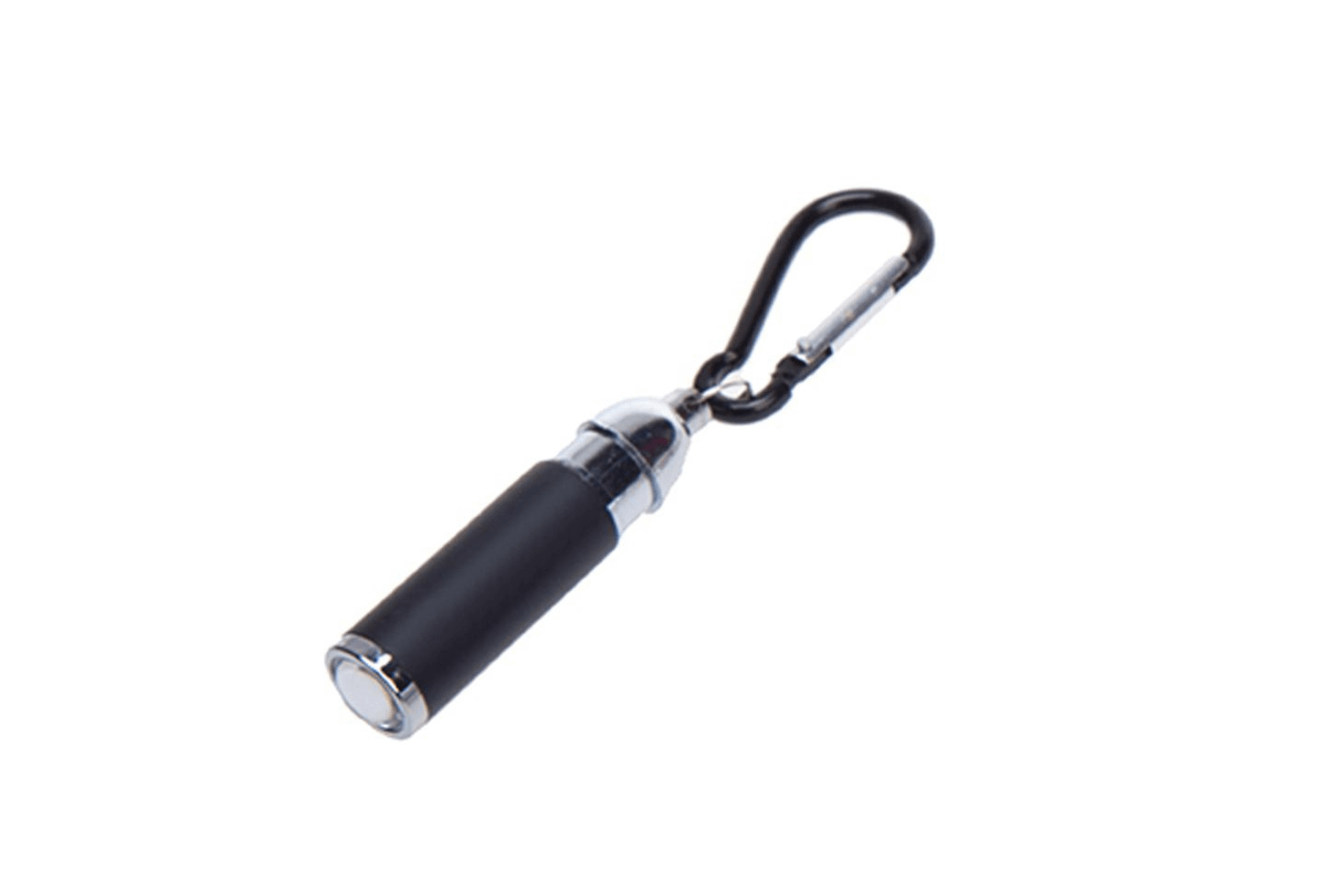 Coloured Mini Torch Light With Matching Carabiner One Dollar Only