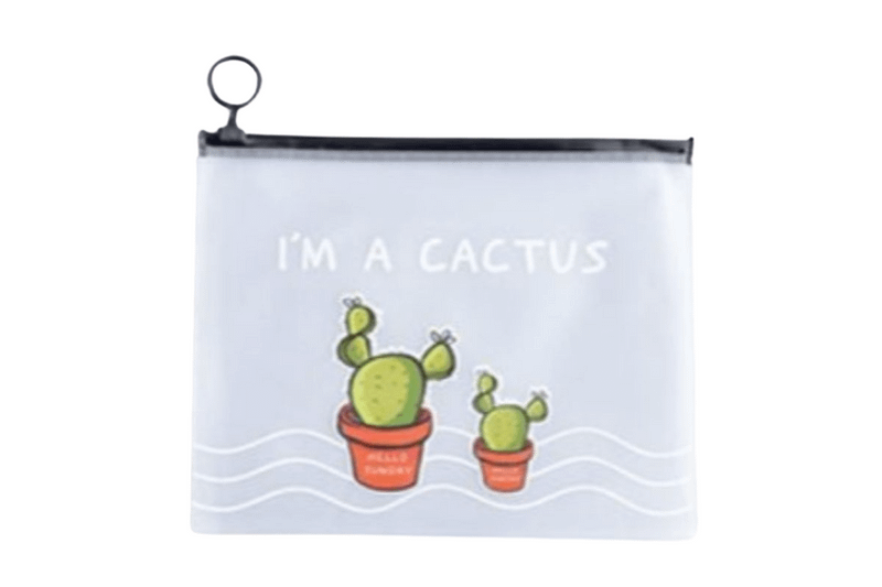 2 Cactus Plants Design Zip Case Cases One Dollar Only