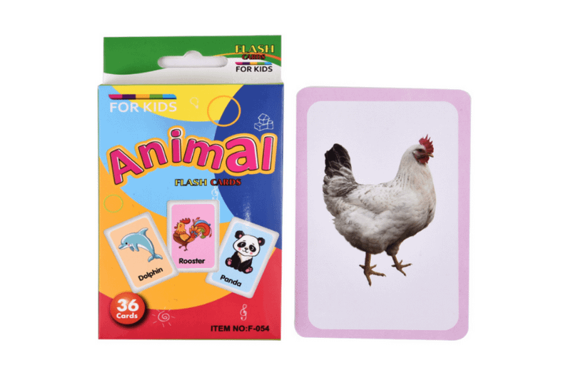 Animals Flash Cards Games and Toys One Dollar Only