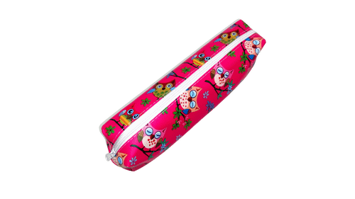 Owl Themed Pencil Case Cases One Dollar Only
