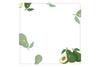 Creative Fruits Design Post It Notes Post-it One Dollar Only